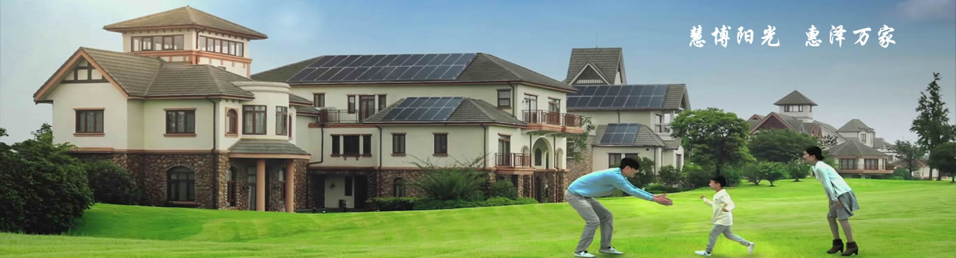 《書(shū)法大字典》